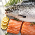 Whole Fresh Chilled Salmon