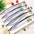 Frozen Pacific Saury